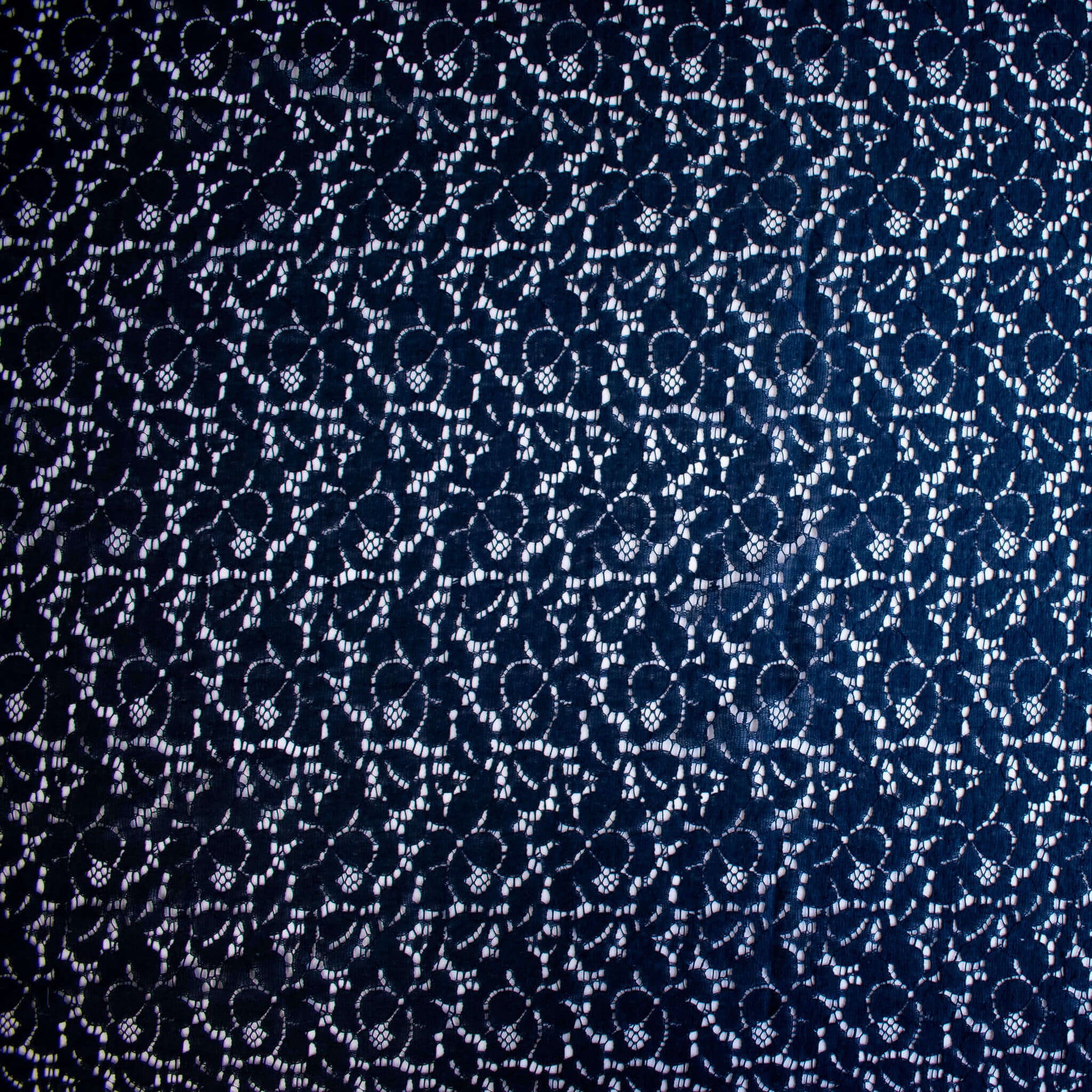 Dark blue lace fabric on a white background.