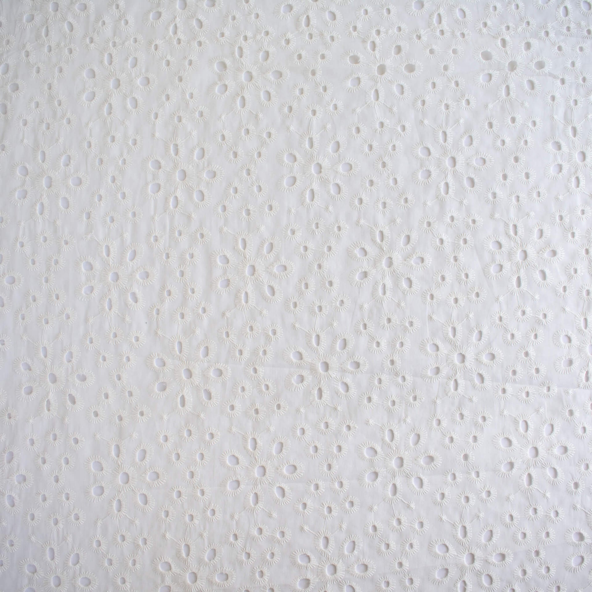 Image of  Italian Cotton San Gallo Lace in soft white, a delicate broderie anglaise fabric 